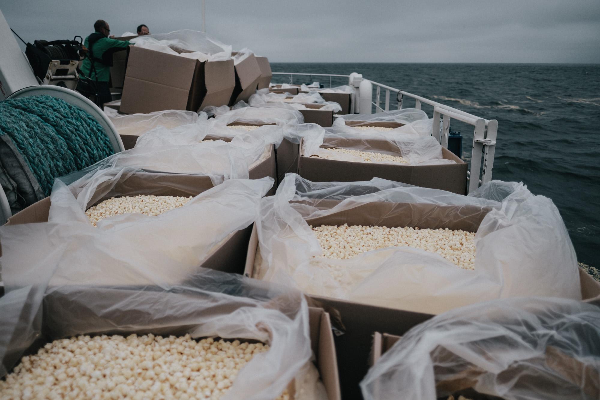 The harmless hazardous substance