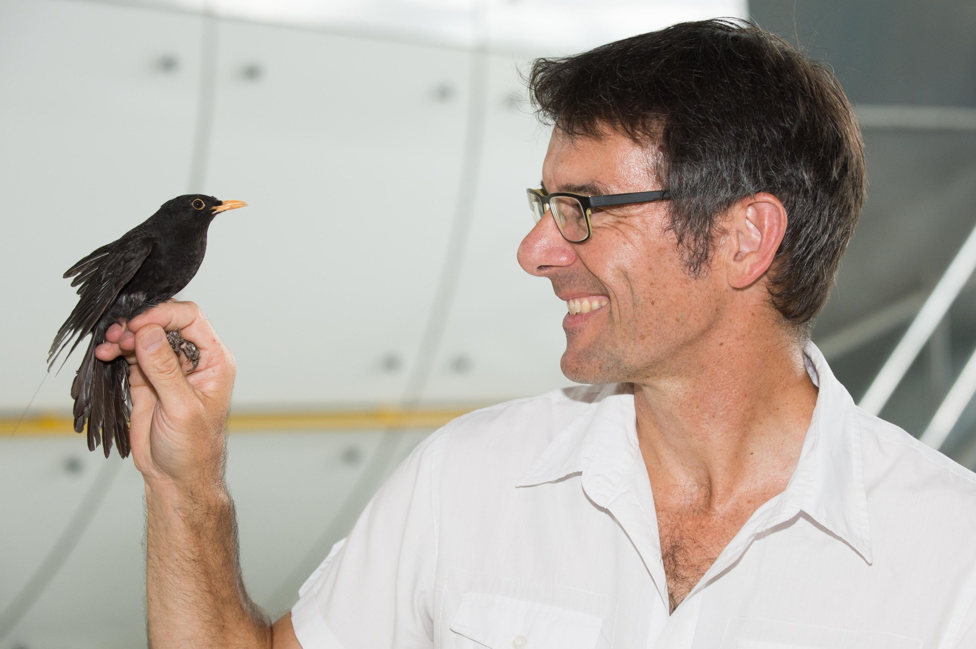 Leader of the ICARUS project with a blackbird
