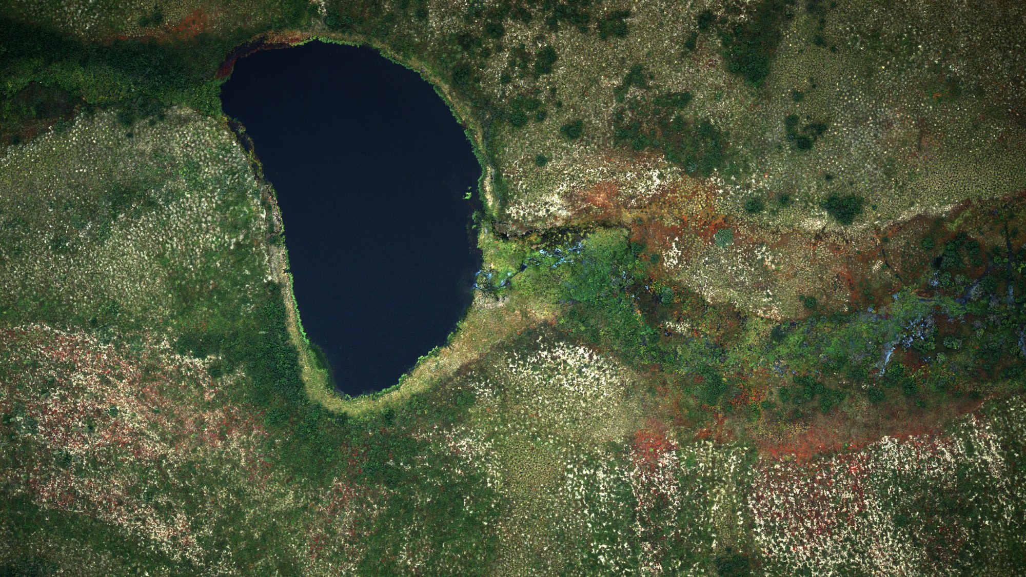 Colour image aquired by the MACS polar aerial camera