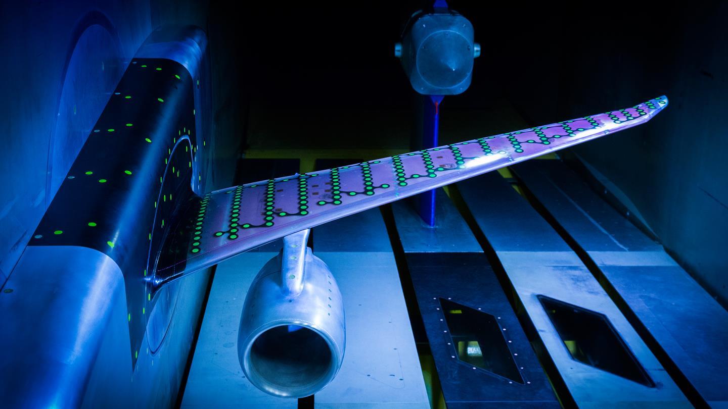 Wing model in the wind tunnel