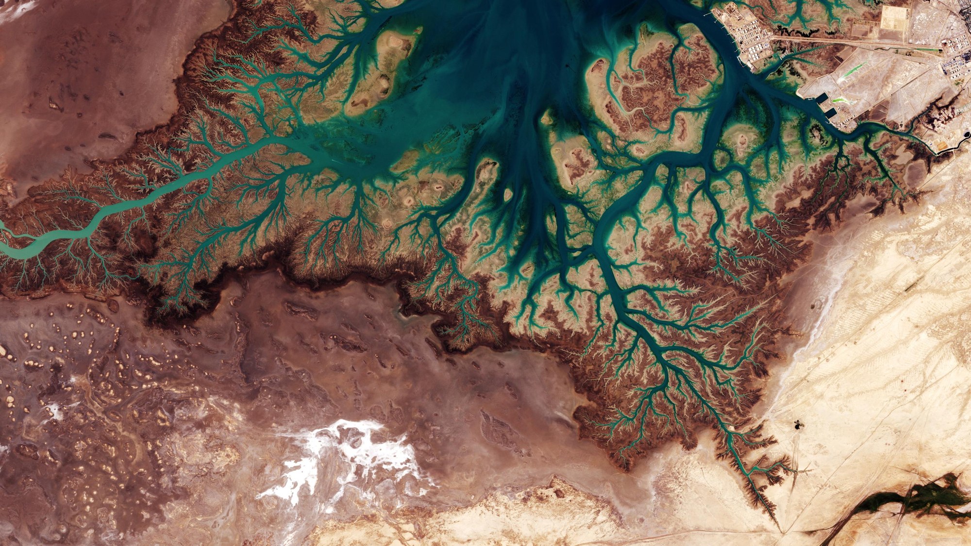 Musa Bay