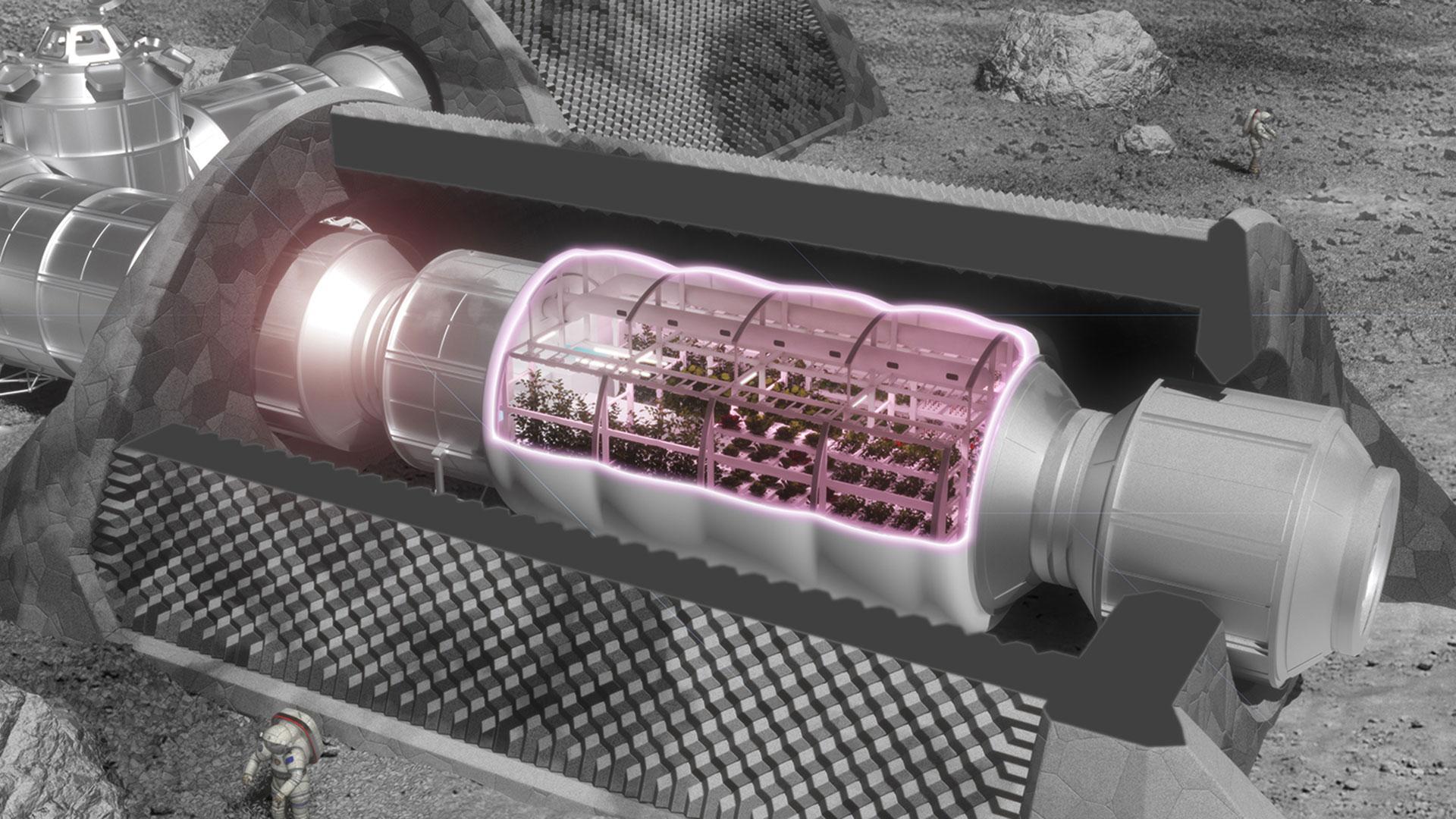 Greenhouse concept for the Moon and Mars