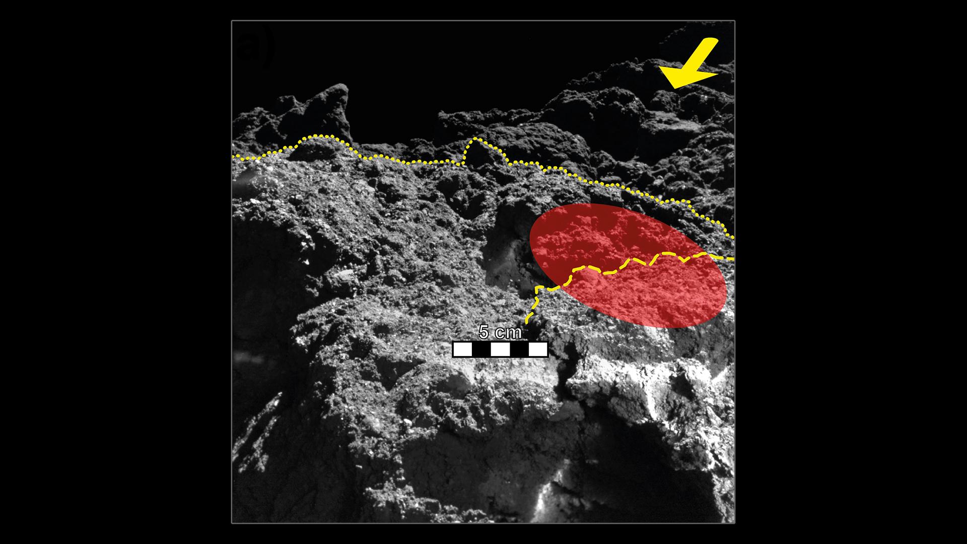 Temperature measurements on Ryugu's surface