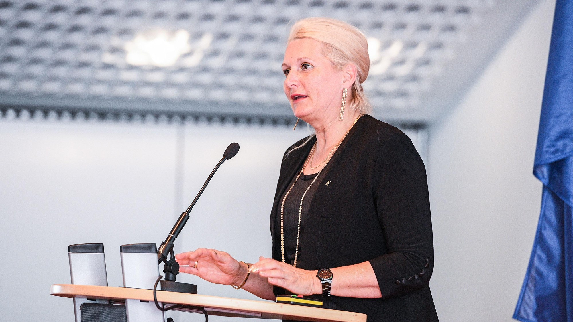 Professor Ehrenfreund opens the Annual Reception in Brussels