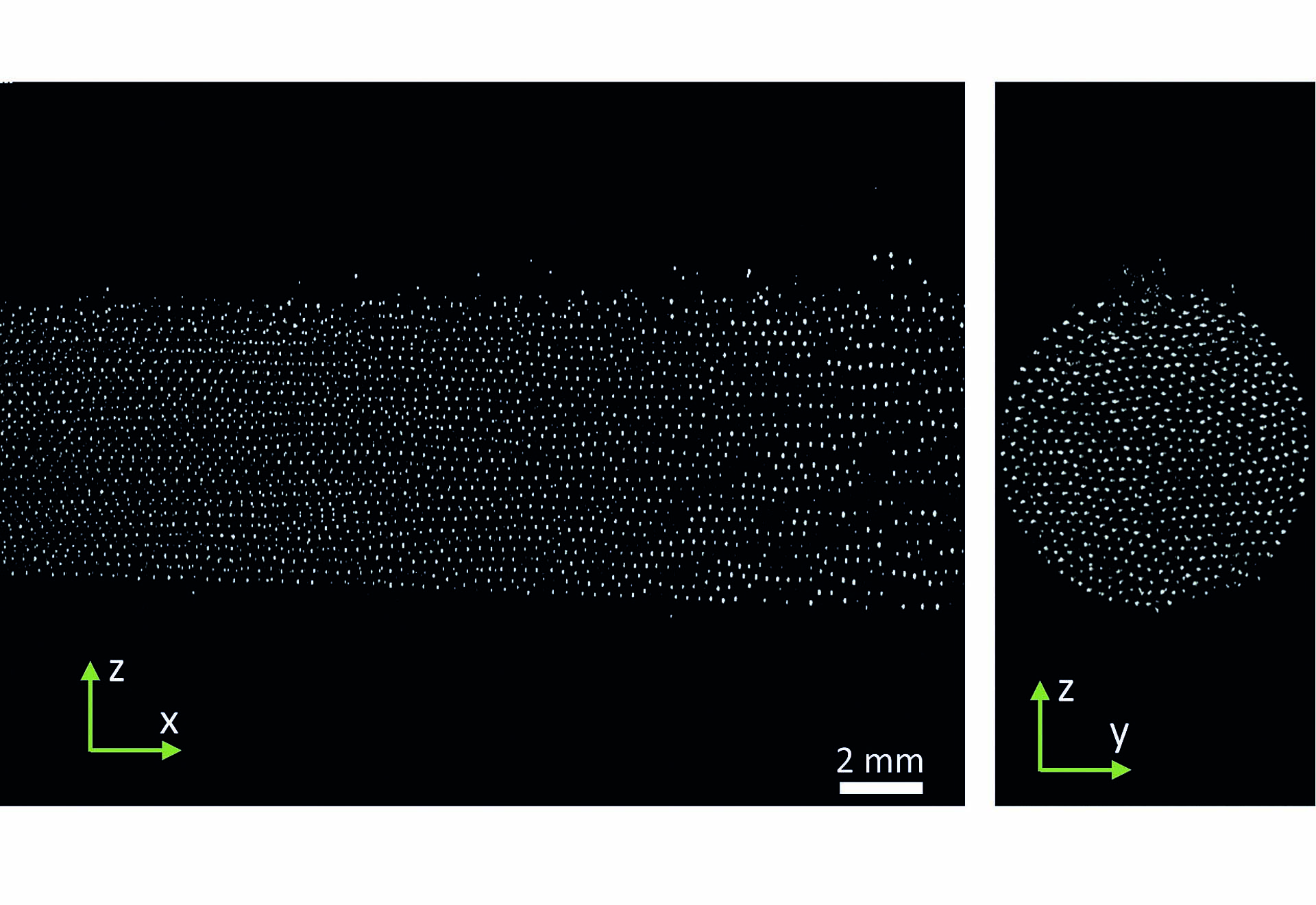 PK-4 experiment – particle distribution in the plasma chamber