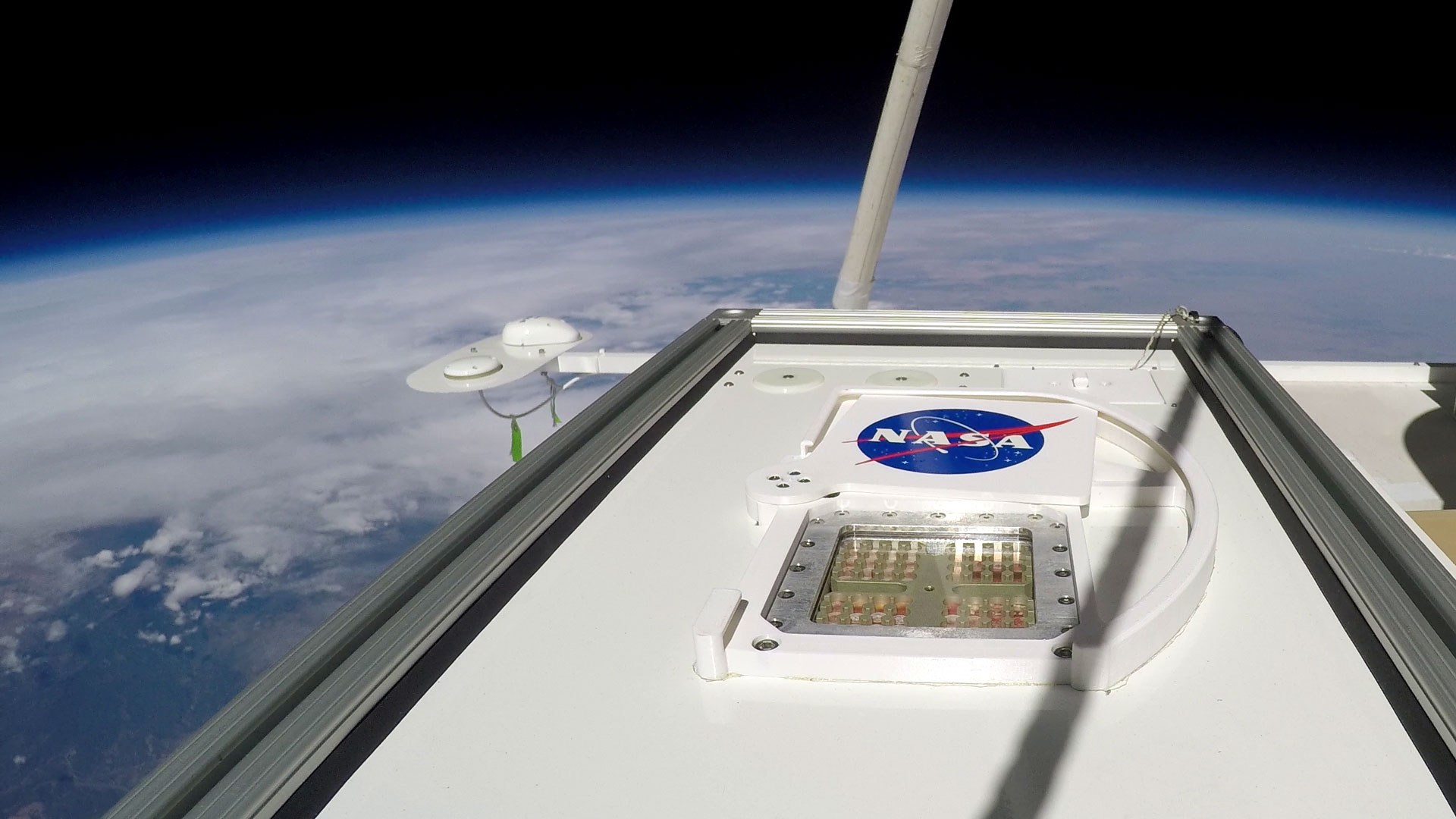 DLR sample carrier containing bacteria and fungi during its nine-hour journey into the stratosphere