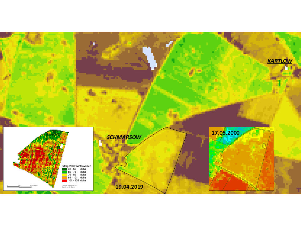 Winter wheat yield map