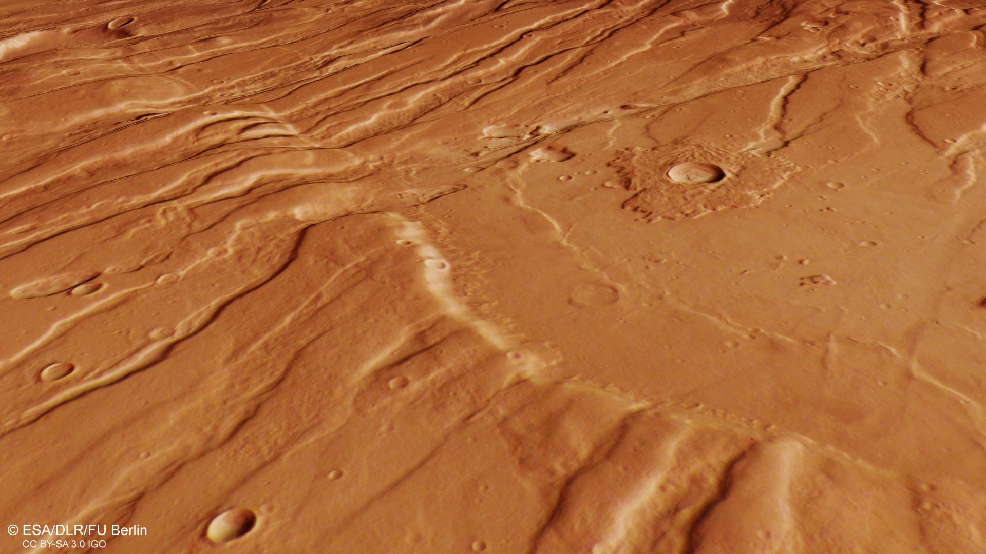 Oblique perspective view of horsts and grabens in Ascuris Planum
