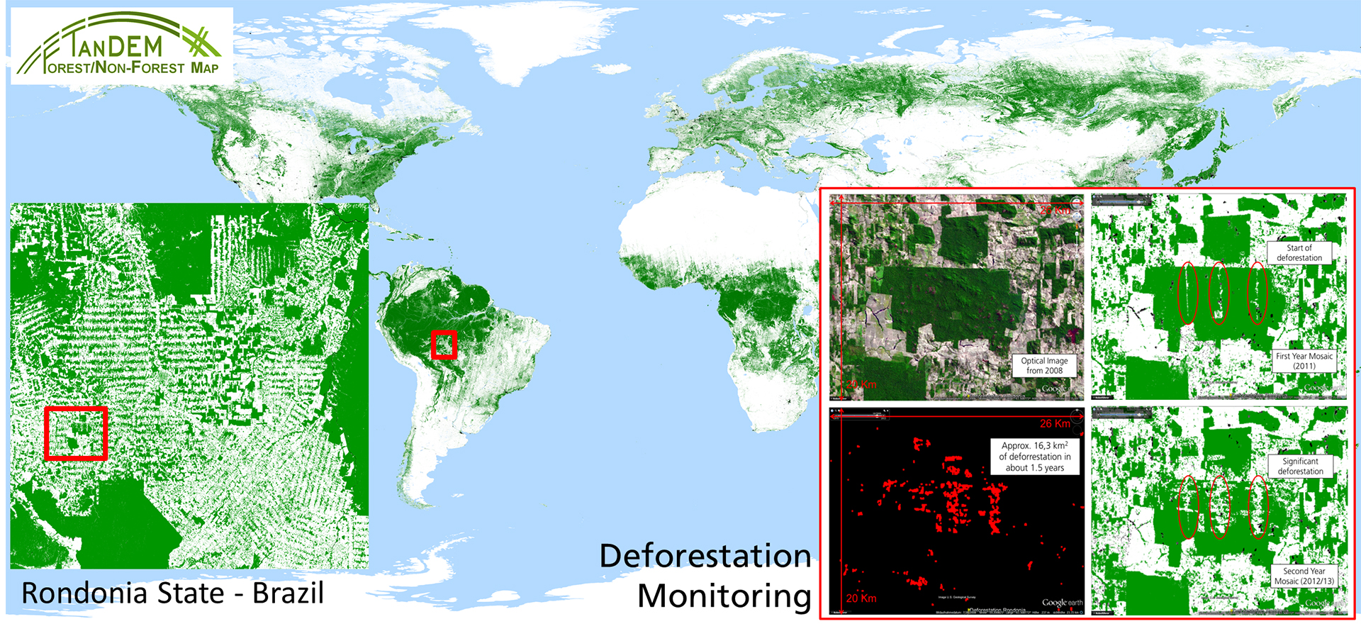 TanDEM-X forest map