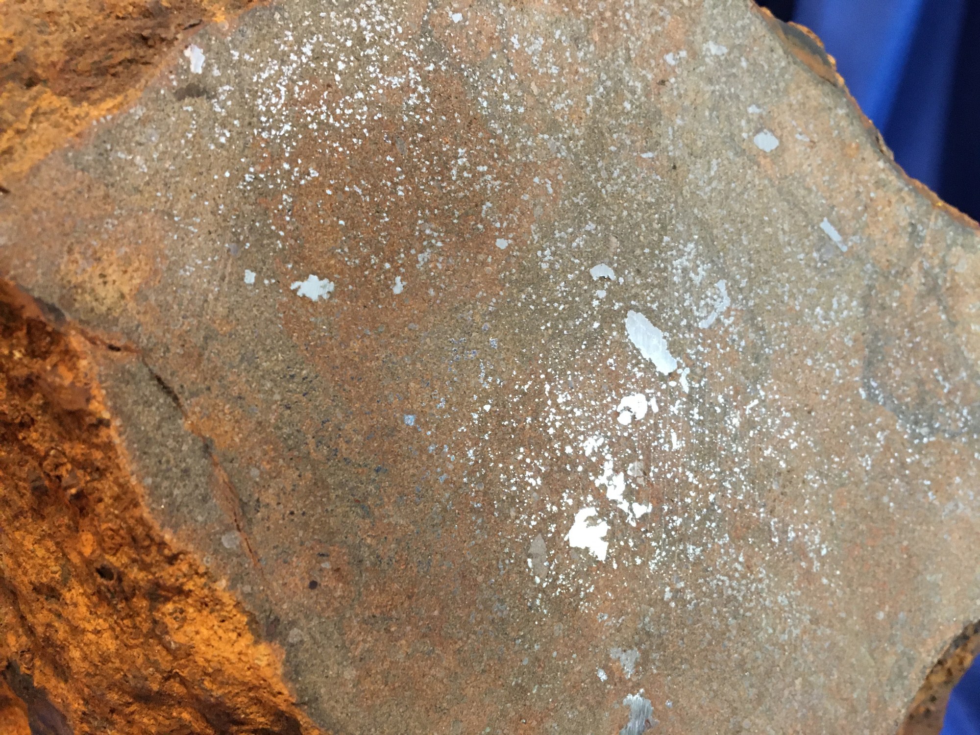 Cut surface of ‘Blaubeuren’ with metallic inclusions