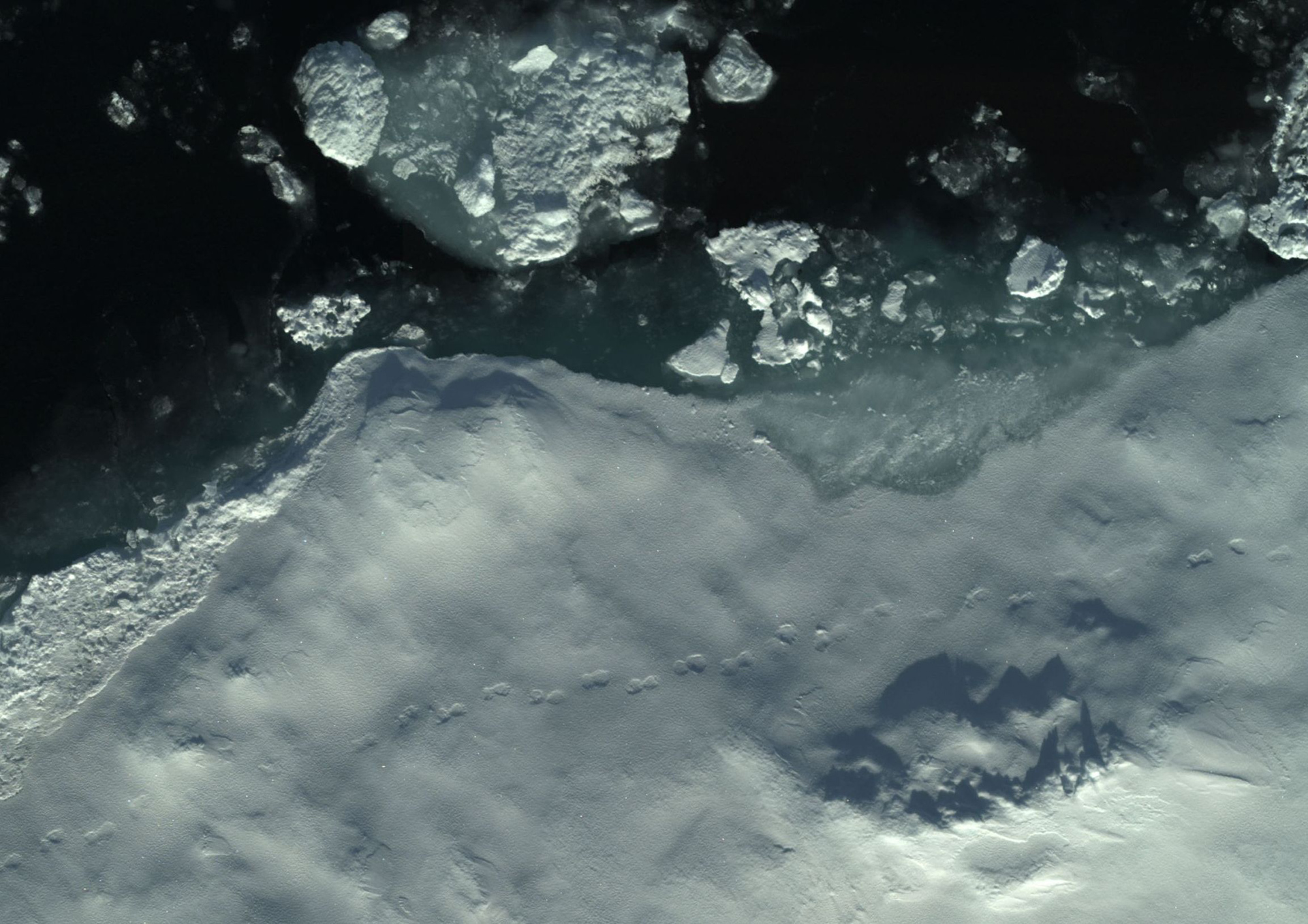 Ice structures and polar bear tracks on an Arctic ice floe