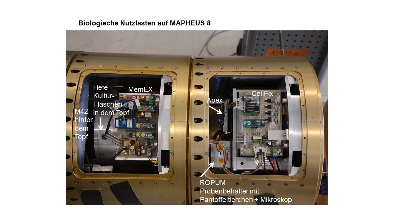 MAPHEUS-8 biology payload