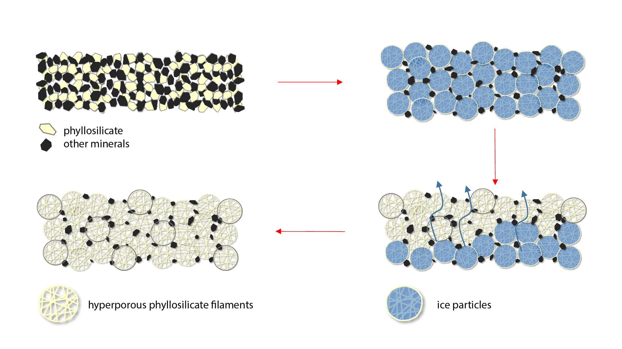 Sequence of the sublimation process on Ceres