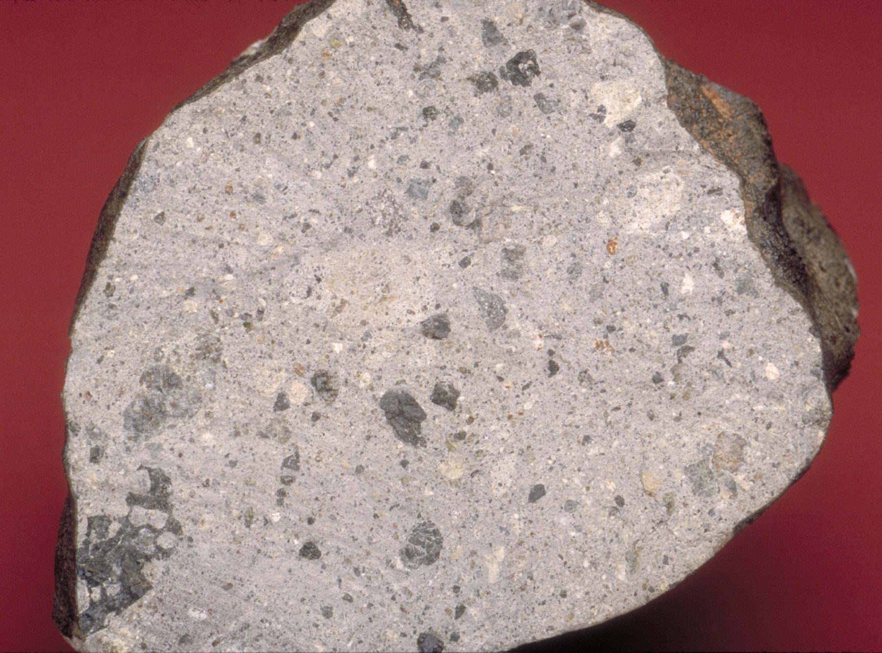 Howardite meteorite from the asteroid Vesta