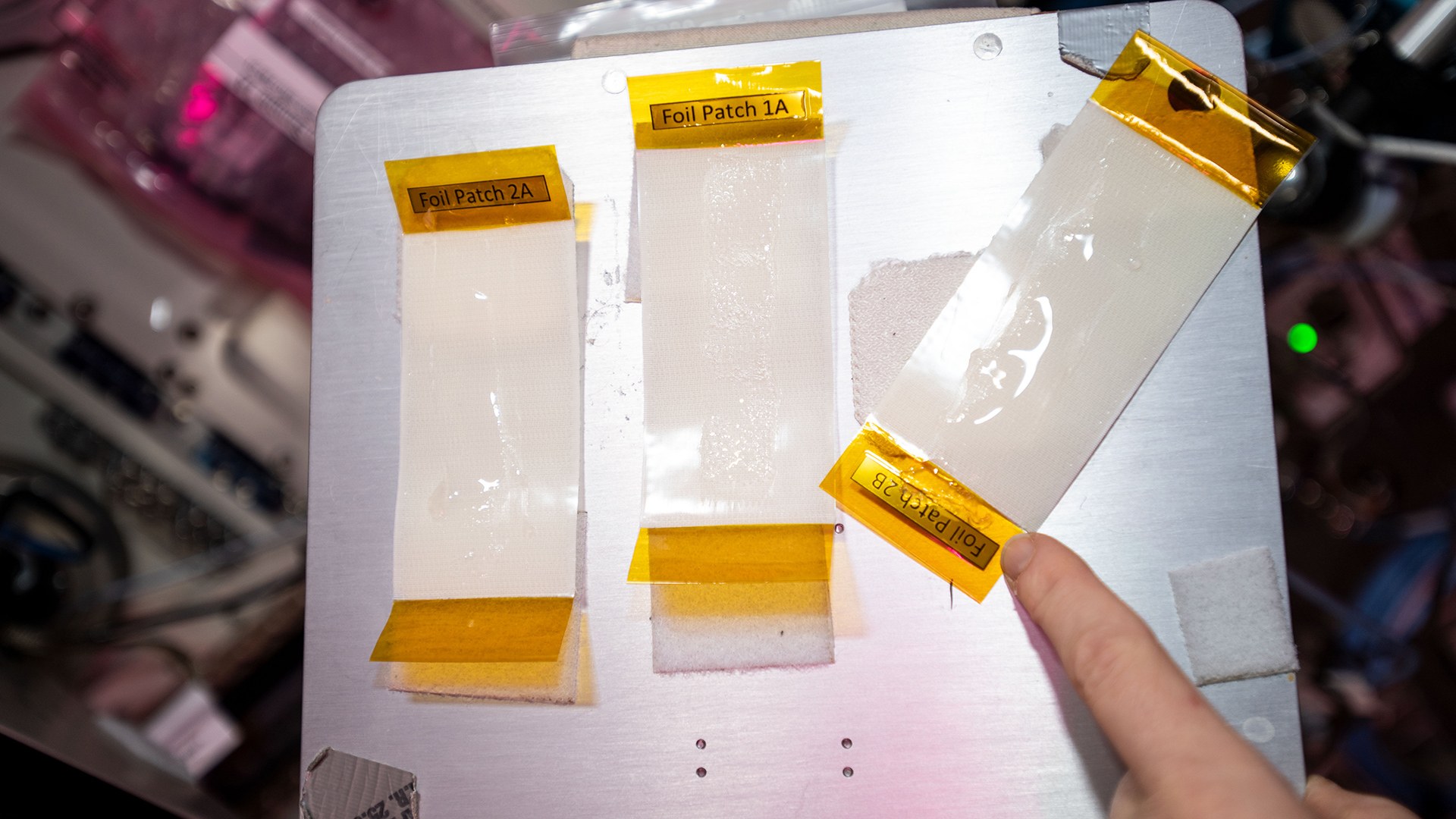 Sticking plaster created using bio-ink