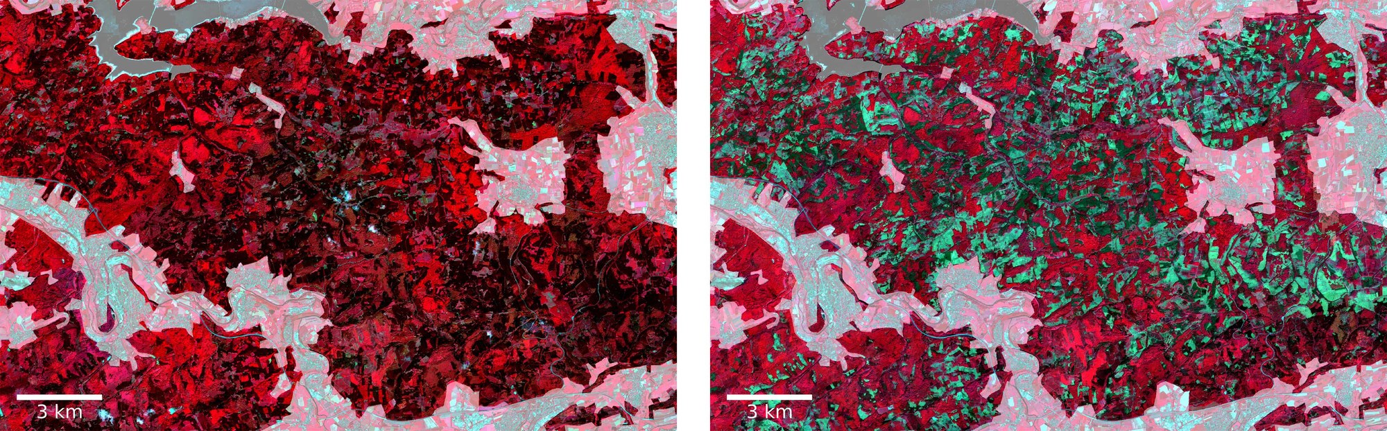 Forest loss in Arnsberg 2017 and 2021, by comparison