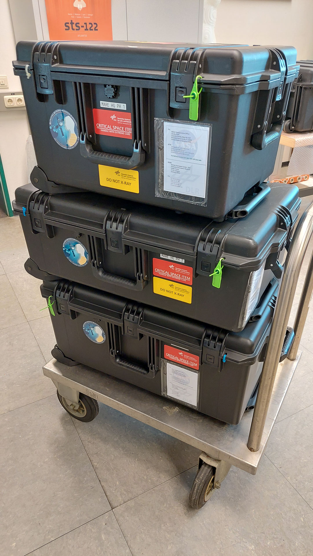 Helga and Zohar packed for delivery