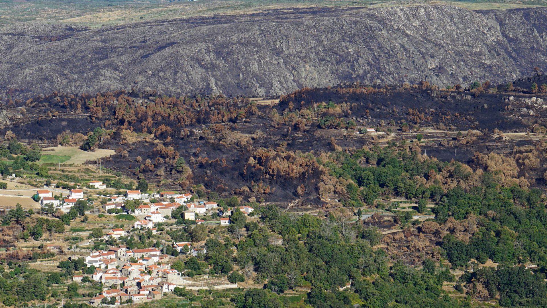 Impact of a fire in Portugal in 2016