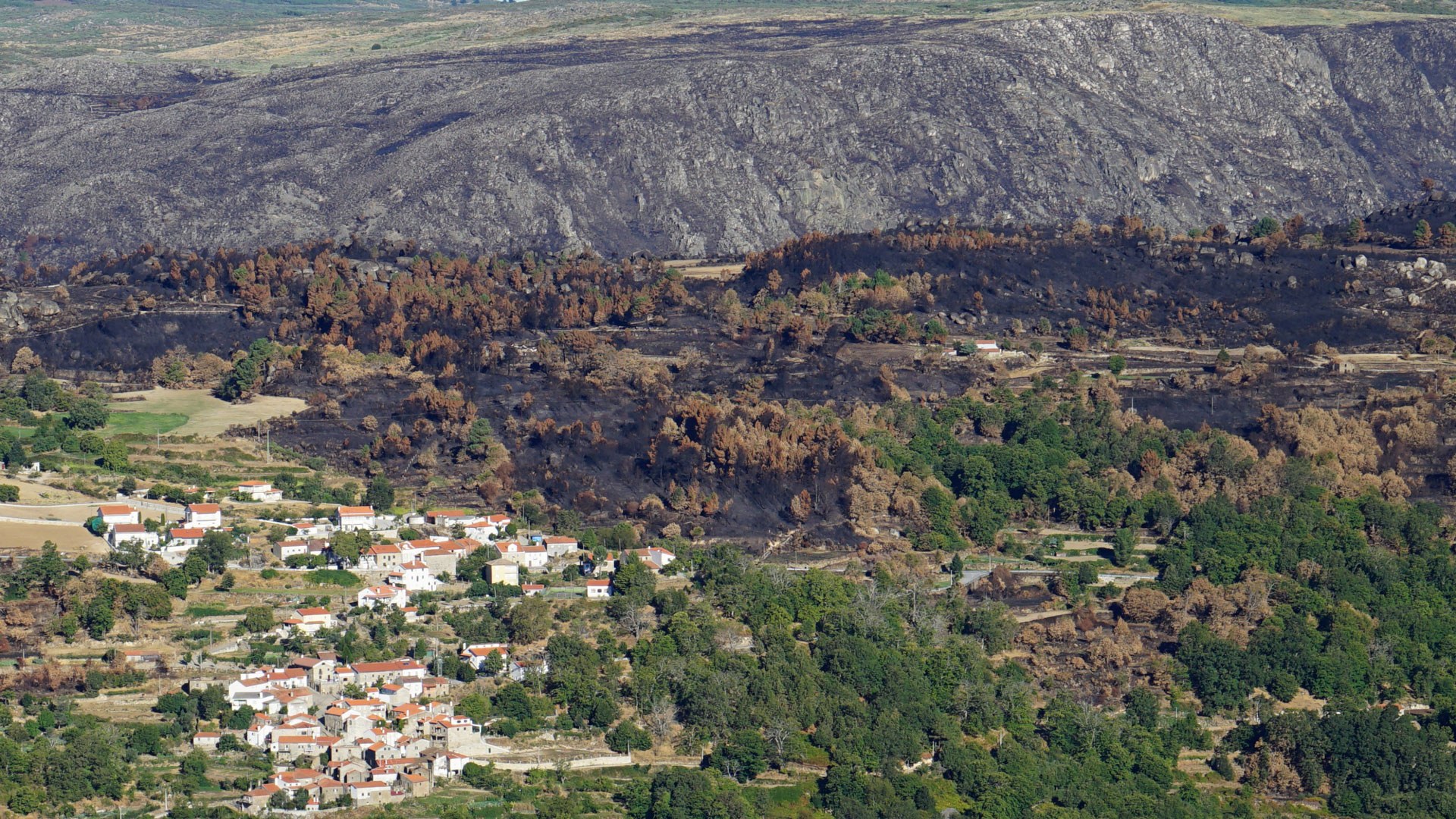 Impact of a fire in Portugal in 2016