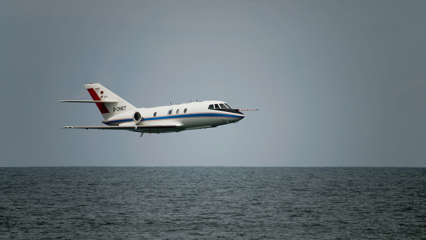 Falcon flying at low level