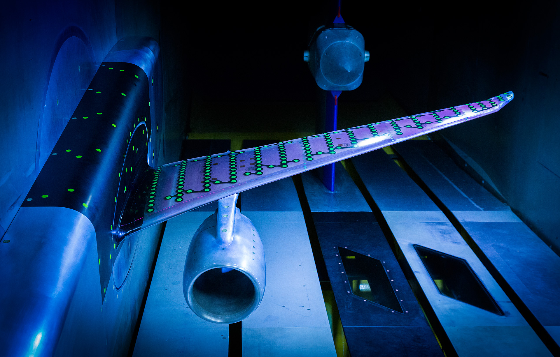 Wing model in the wind tunnel