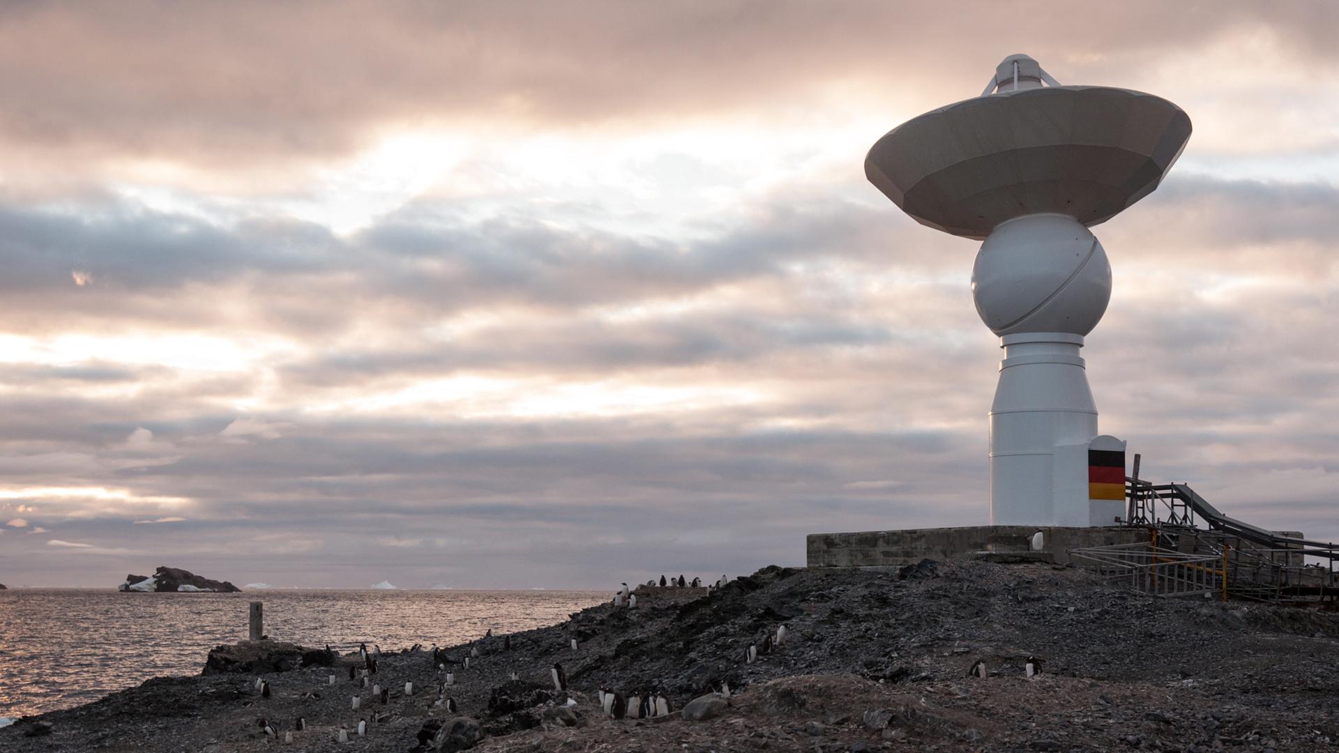 The base serves as a windbreak for penguins