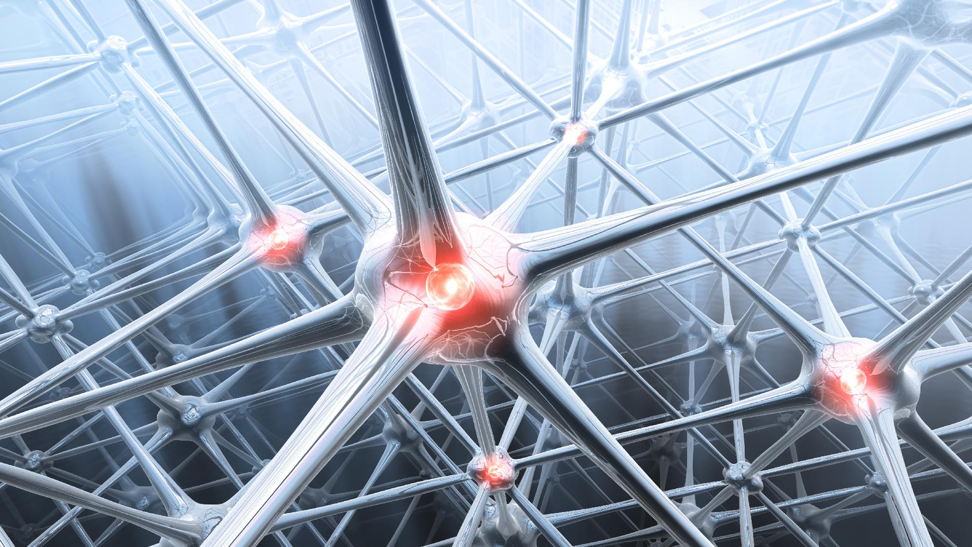 The security risk of networking