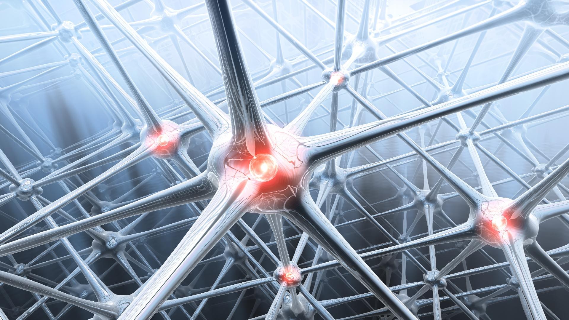 The security risk of networking