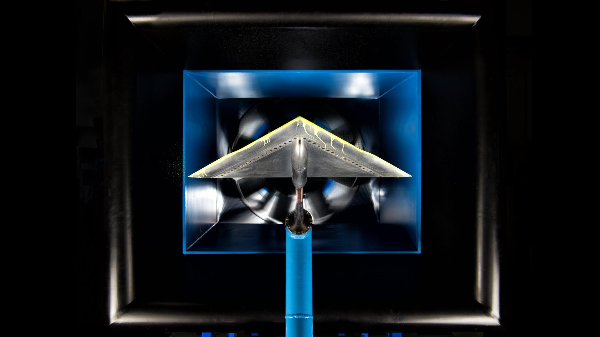 Model of a delta wing