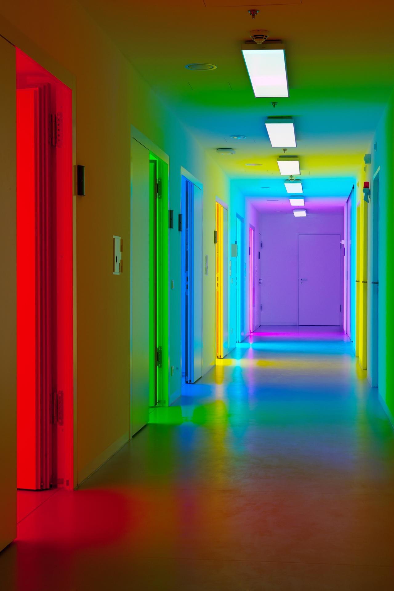 Test ward hallway