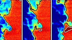 Unsteady Combustion Processes