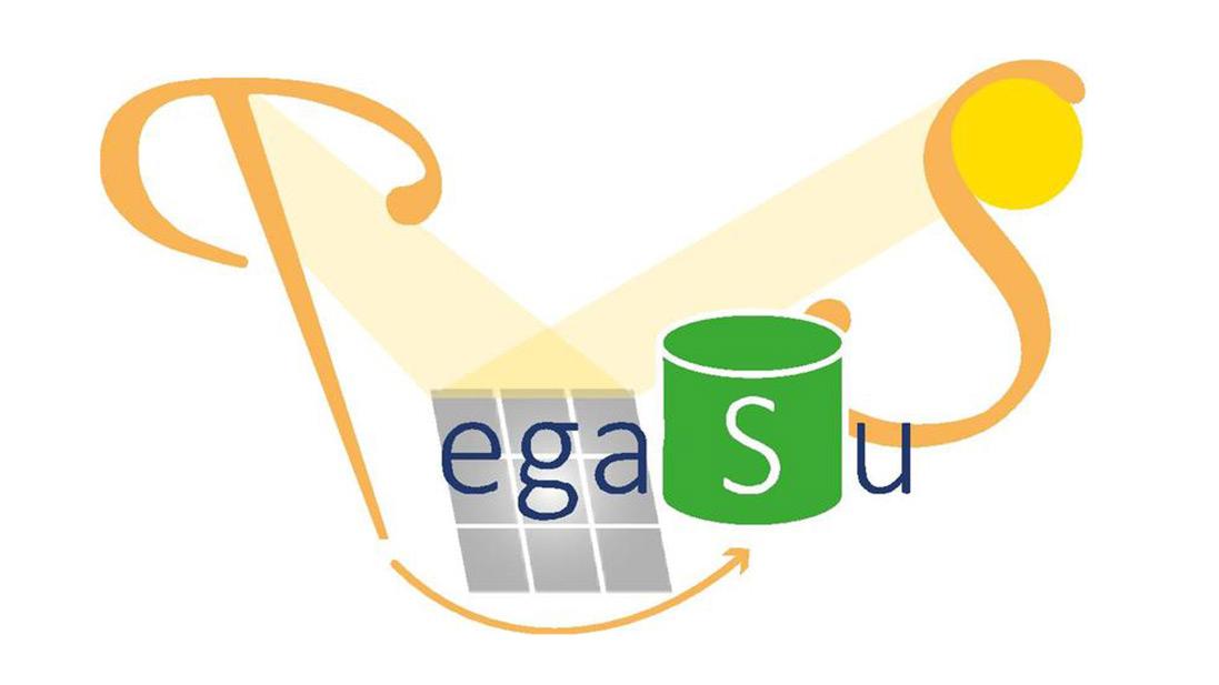 Project PEGASUS - Renewable PowEr Generation by Solar PArticle Receiver Driven SUlphur Storage Cycle