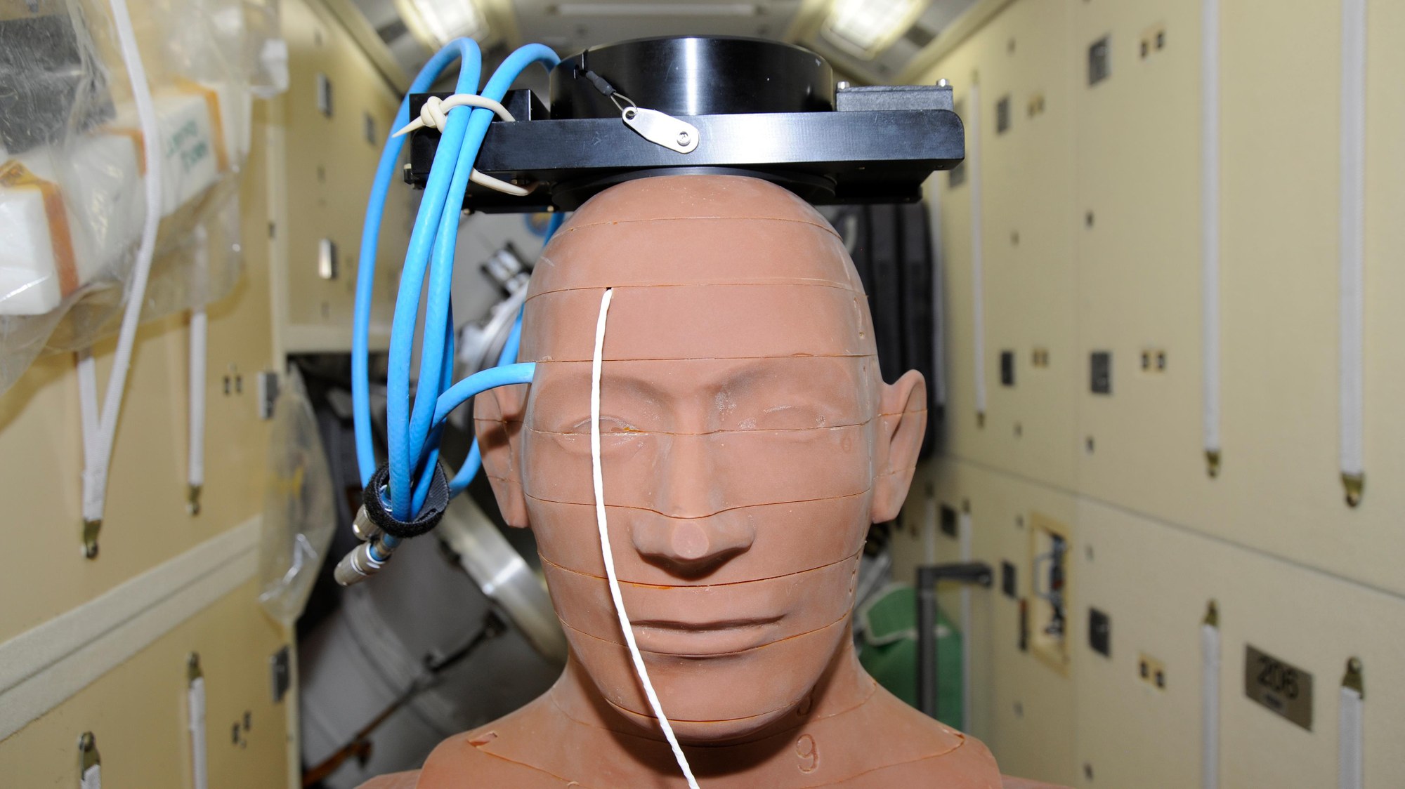 The additional crew member: the MATROSHKA Human Phantom