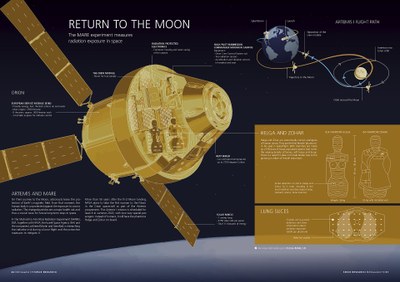 Infographic about the MARE experiment