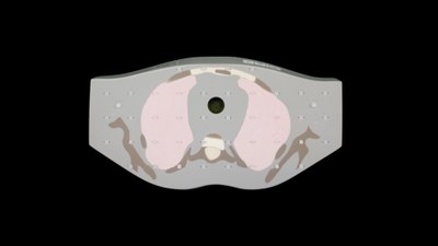 A ‘slice’ of Helga