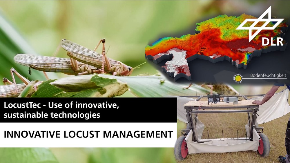 Video: Locust-Tec – Introduction of innovative and environmentally friendly technologies for locust management.
