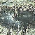 Eyjafjallajökull