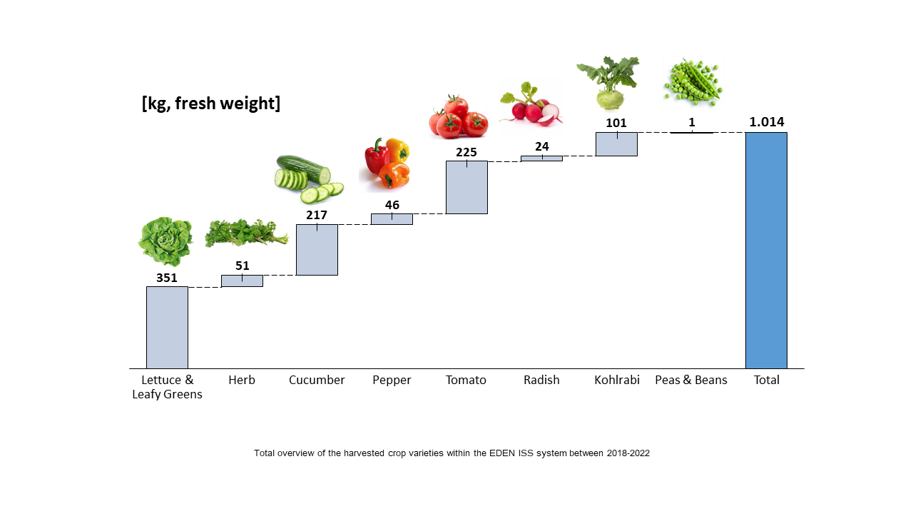 A bountiful harvest in Antarctica