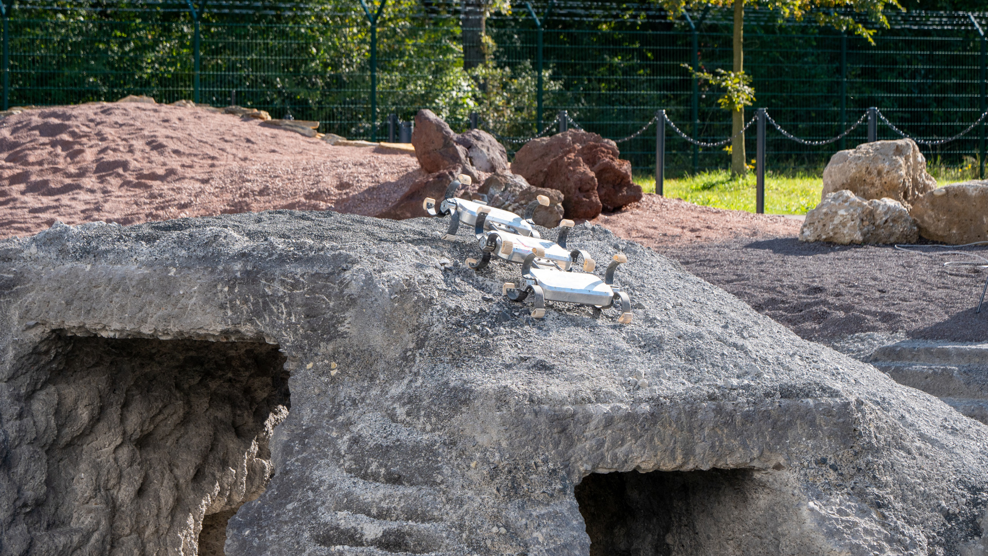 The DLR Scout rover shows off its agility on the test field