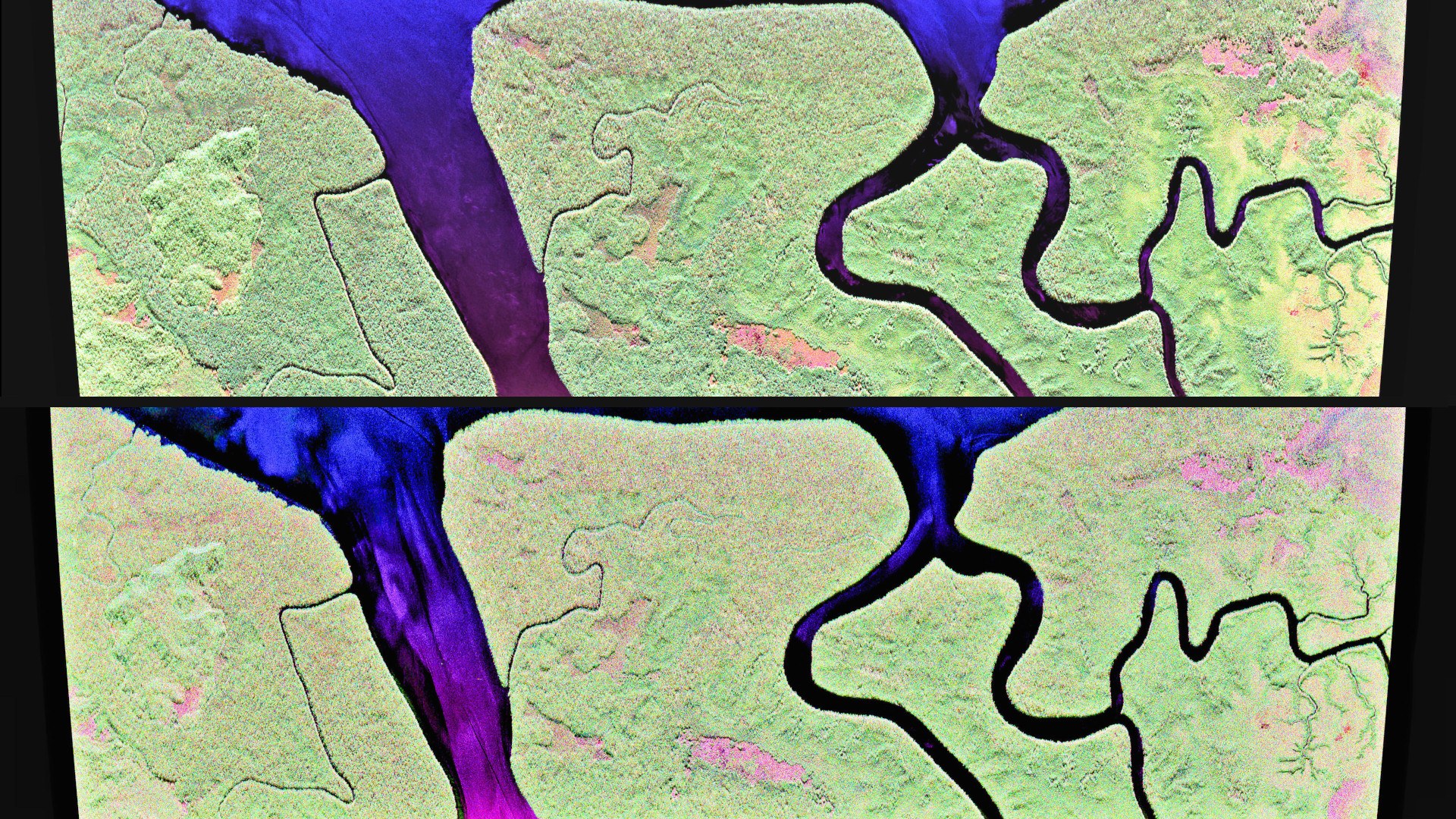 The 'Pongara' test area imaged by the F-SAR radar sensor in L-band (upper image) and in P-band (lower image)