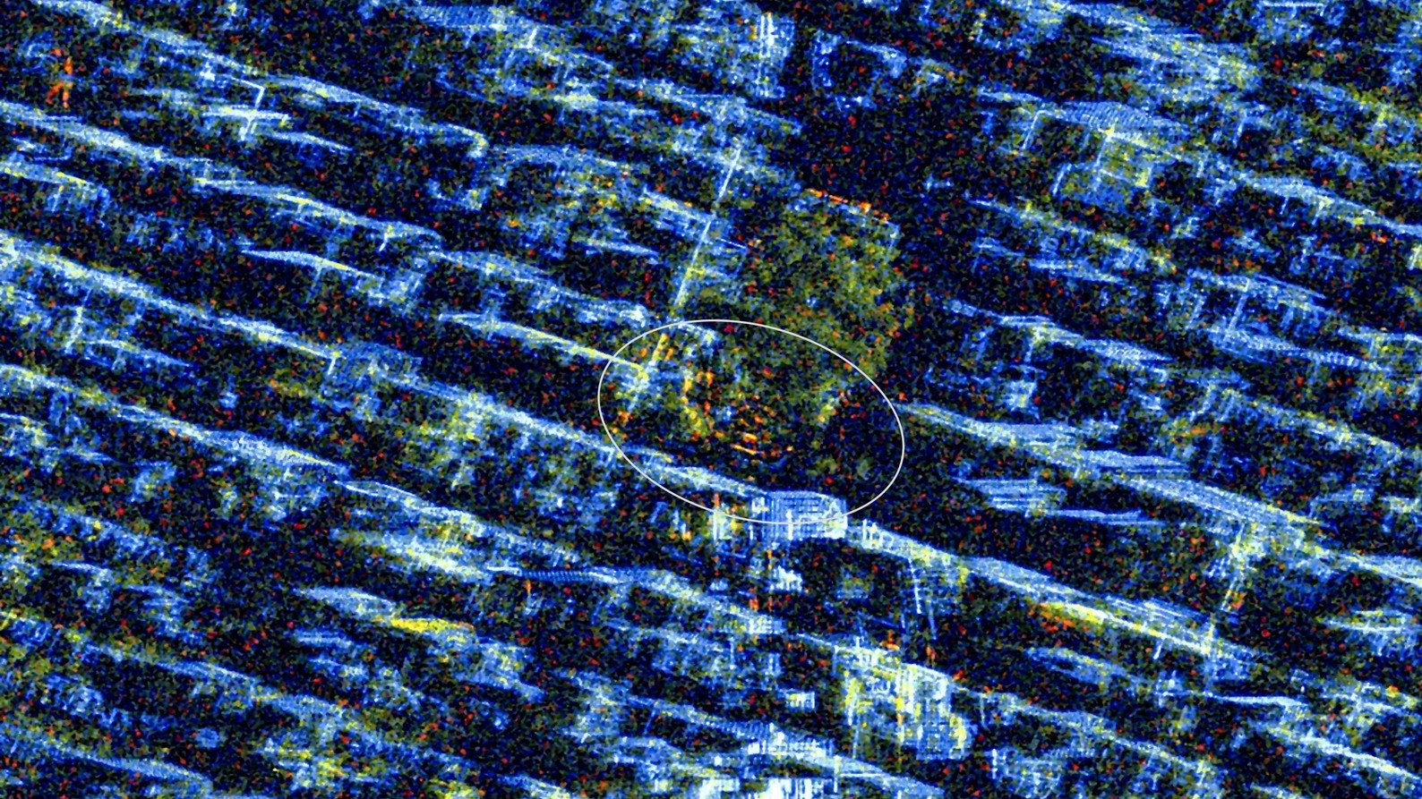 The Union Square Holiday Market in the centre of Manhattan