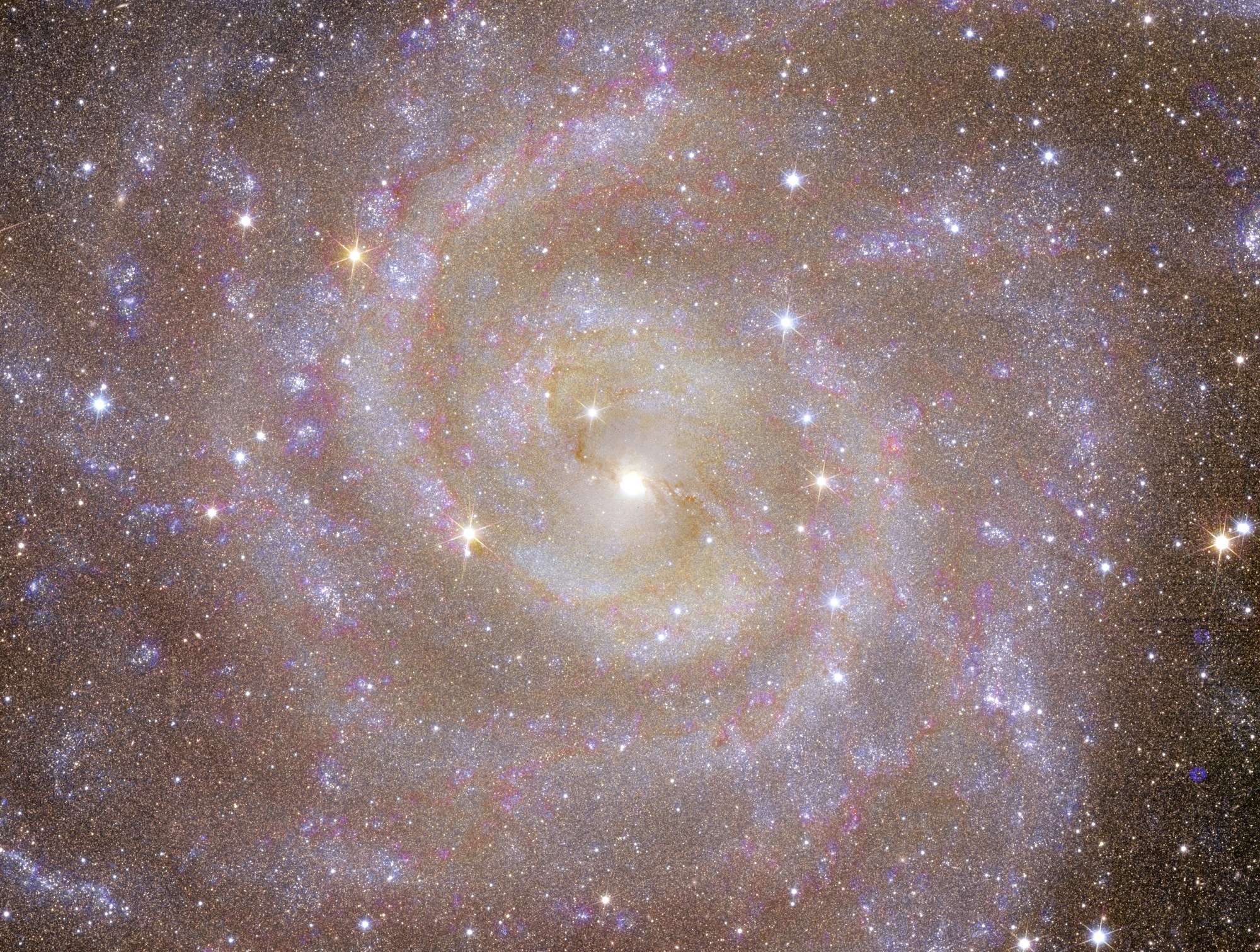 Cropped image of the Hidden Galaxy (IC 342)