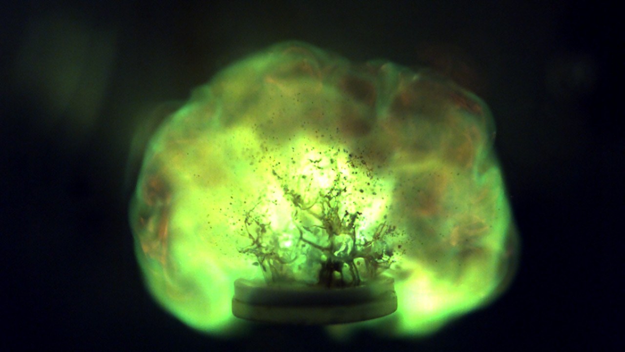 Ignition of the HIP_11 propellant combination in the laboratory