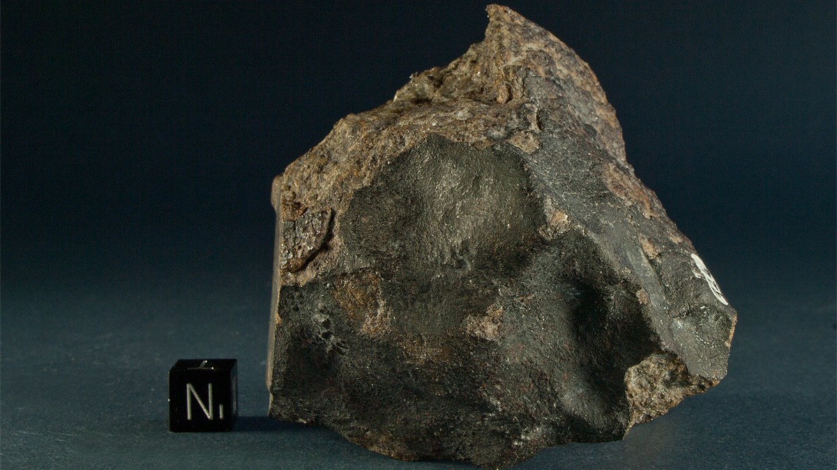 The Meteorite Tafassasset