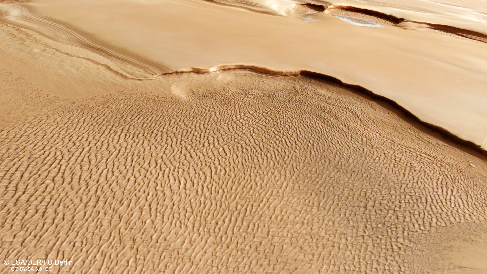 Dune fields in Olympia Planum