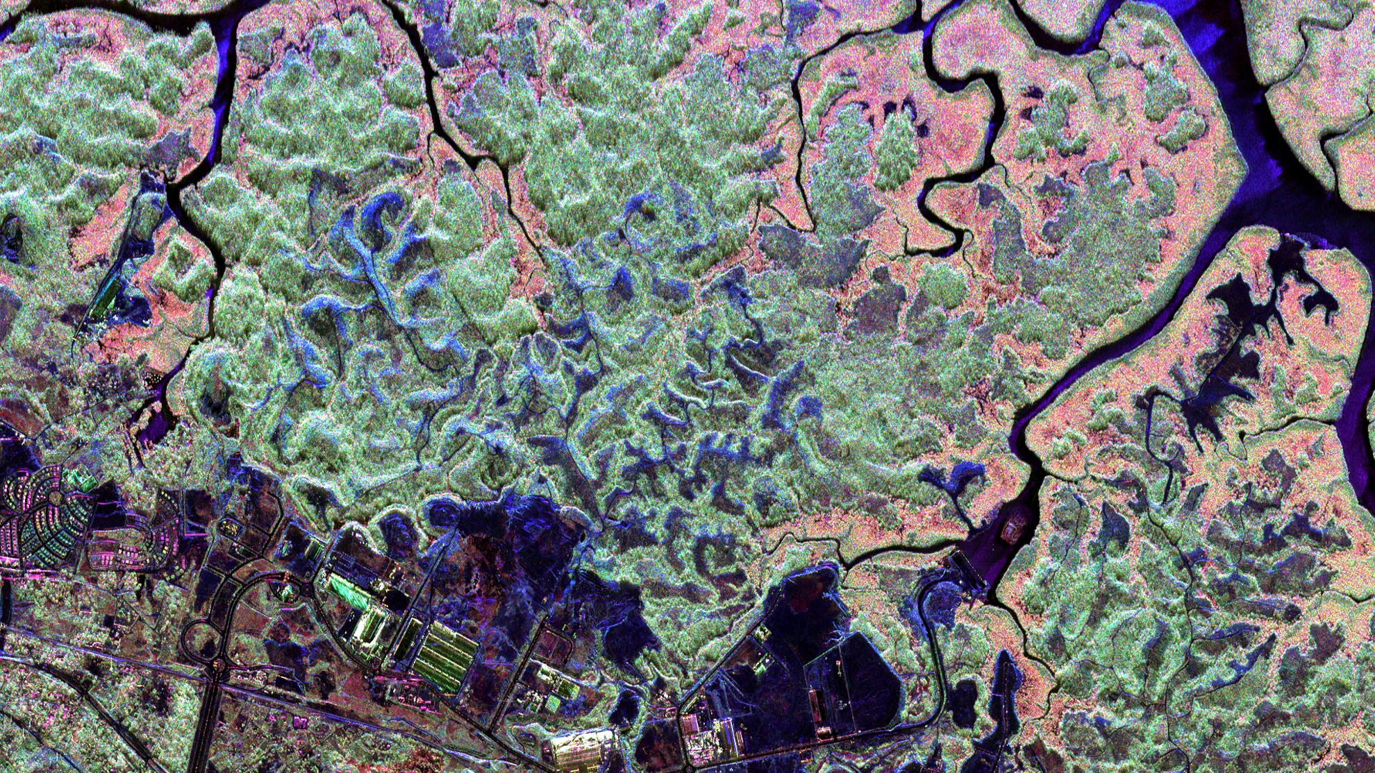 Preparing for Biomass – aircraft radar image of mangrove forests in Gabon