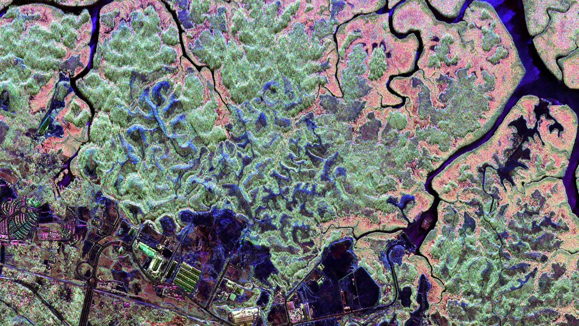 Preparing for Biomass – aircraft radar image of mangrove forests in Gabon