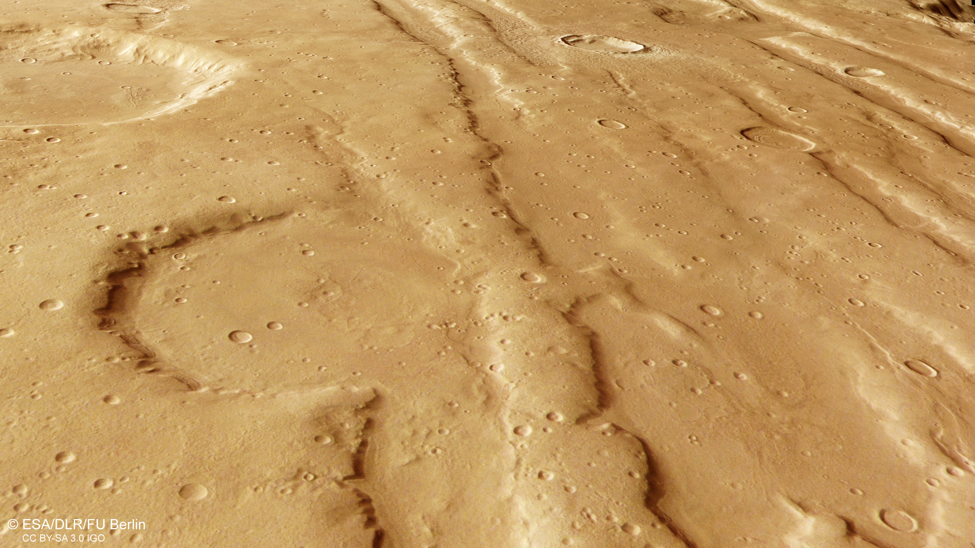 Tectonic horsts and grabens at the highland-lowland Martian boundary