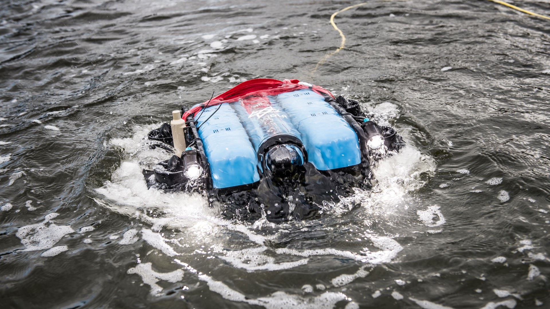 Autonomous diving robot