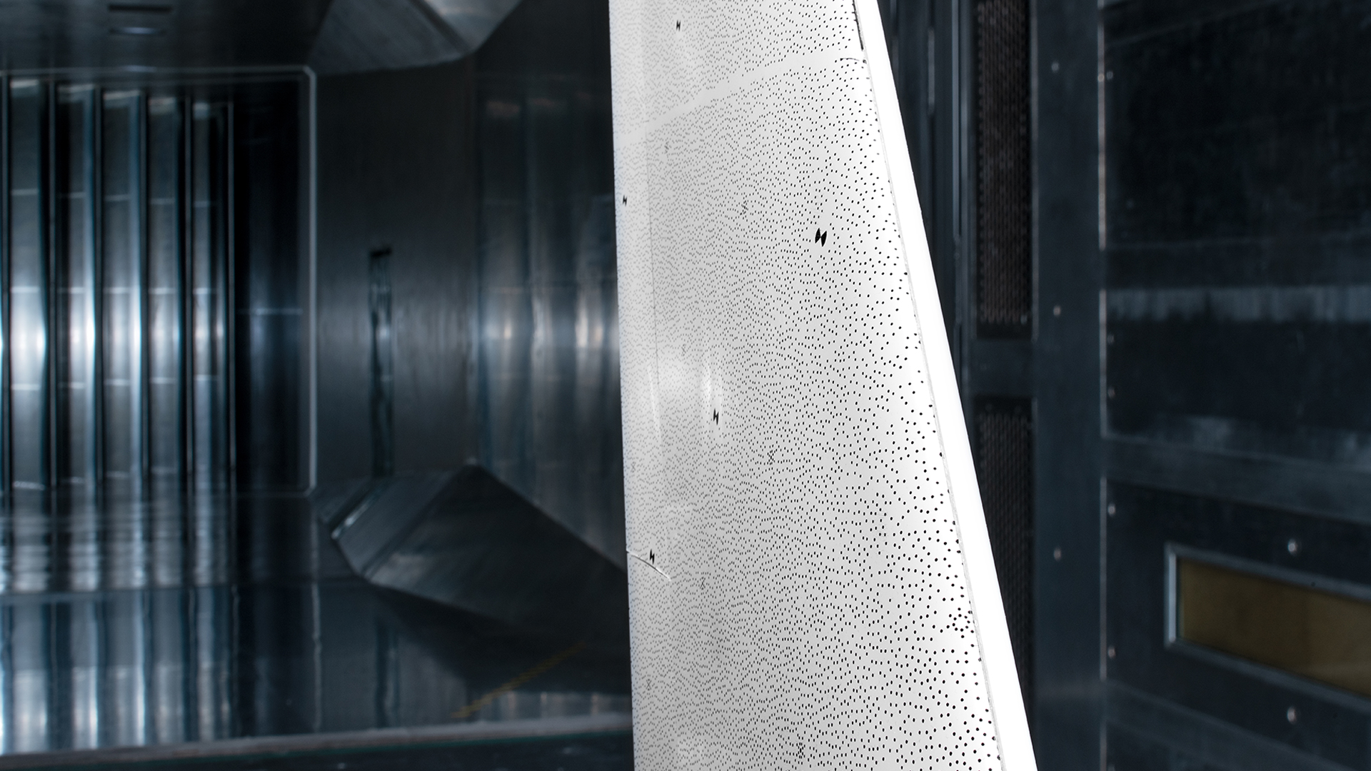 Close-up of the wing underside